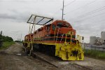 CAGY 3596